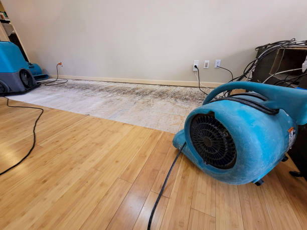 Professional Flood Damage Cleanup technician working in Findlay, OH